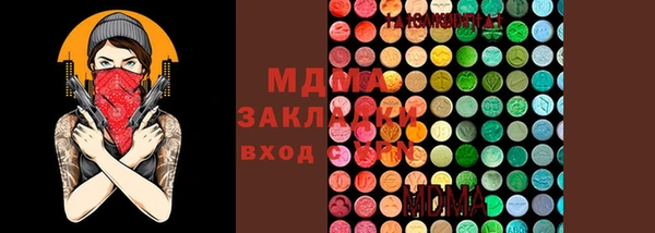 молекула духа Богданович